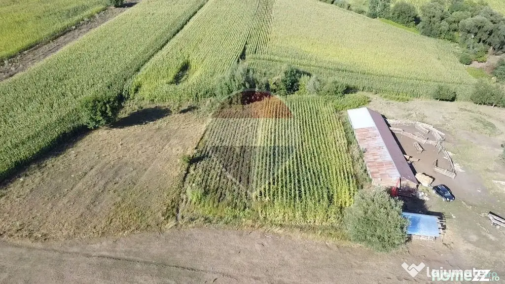 Teren 4,400mp Moara Suceava - Moara (Suceava)