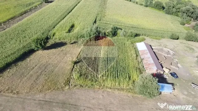 Teren 4,400mp Moara Suceava - Moara (Suceava)