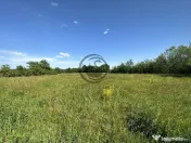 Teren intravilan de vanzare | 11.000 mp | Ghirdoveni | Co... 