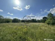 Teren intravilan de vanzare | 11.000 mp | Ghirdoveni | Co... 