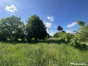 Teren intravilan de vanzare | 11.000 mp | Ghirdoveni | Co... 