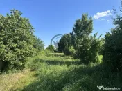 Teren intravilan de vanzare | 11.000 mp | Ghirdoveni | Co... 