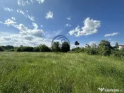 Teren intravilan de vanzare | 11.000 mp | Ghirdoveni | Co... 