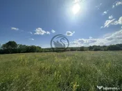 Teren intravilan de vanzare | 11.000 mp | Ghirdoveni | Co... 