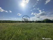 Teren intravilan de vanzare | 11.000 mp | Ghirdoveni | Co... 