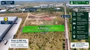 Teren 5.000 mp | Autorizație 5 hale | Chiajna | Zona Lid...