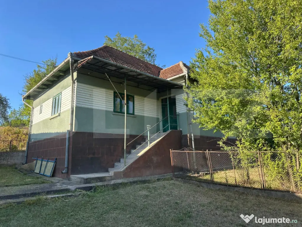Proprietate cu 7.247 mp teren intravilan și multiple constr - Hartagani (Hunedoara)