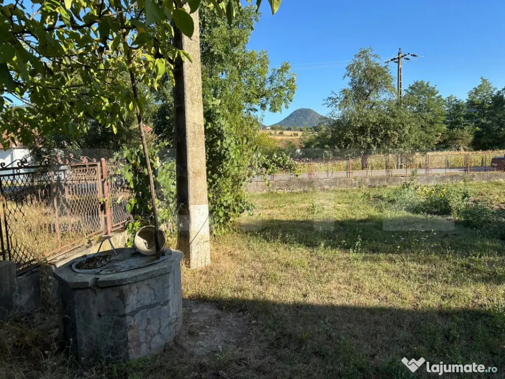 Proprietate cu 7.247 mp teren intravilan și multiple constr - Hartagani (Hunedoara)