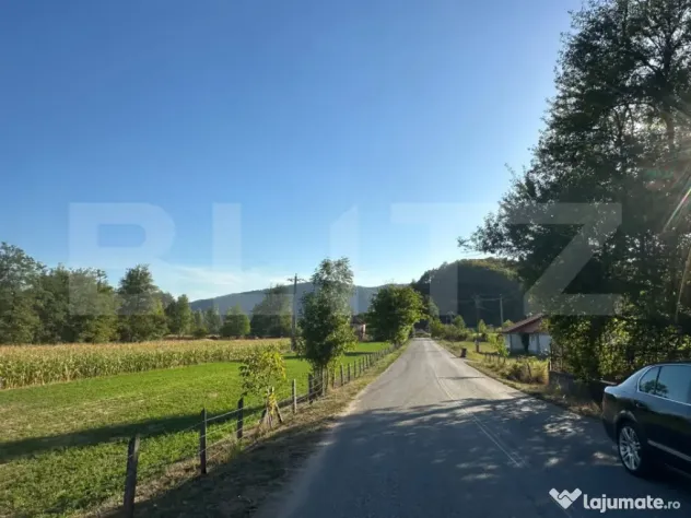 Proprietate cu 7.247 mp teren intravilan și multiple constr - Hartagani (Hunedoara)