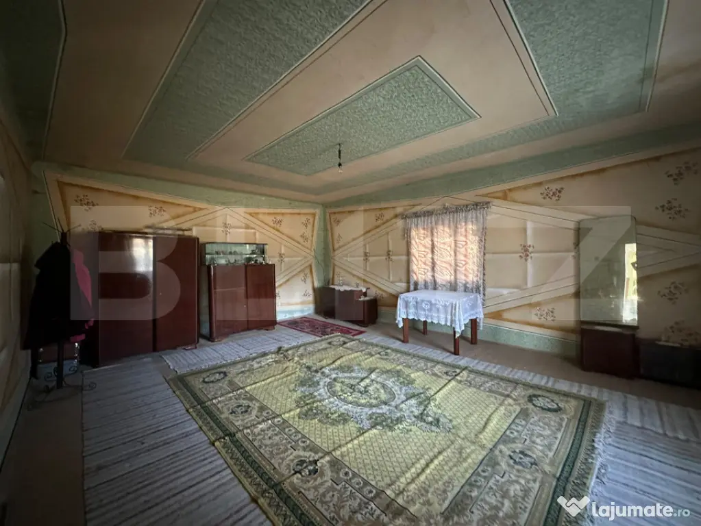Proprietate cu 7.247 mp teren intravilan și multiple constr - Hartagani (Hunedoara)