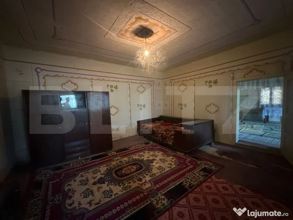 Proprietate cu 7.247 mp teren intravilan și multiple constr - Hartagani (Hunedoara)