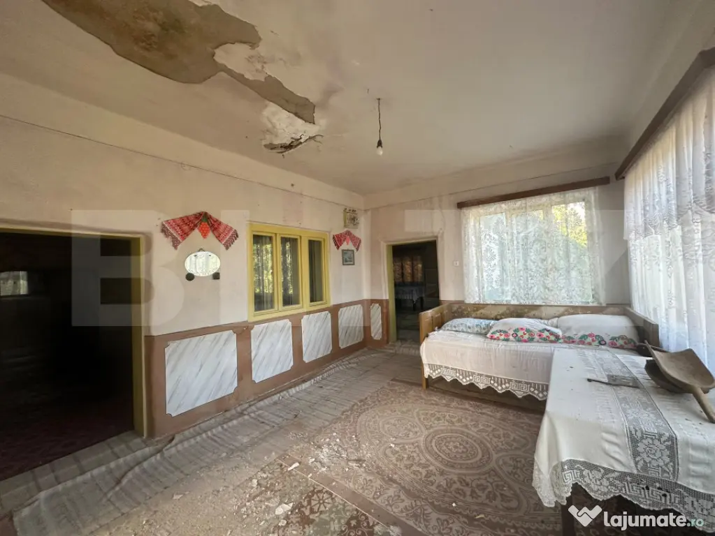 Proprietate cu 7.247 mp teren intravilan și multiple constr - Hartagani (Hunedoara)