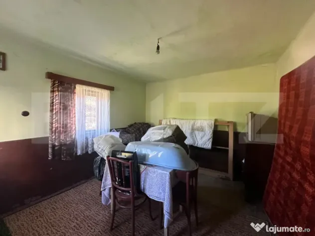 Proprietate cu 7.247 mp teren intravilan și multiple constr - Hartagani (Hunedoara)
