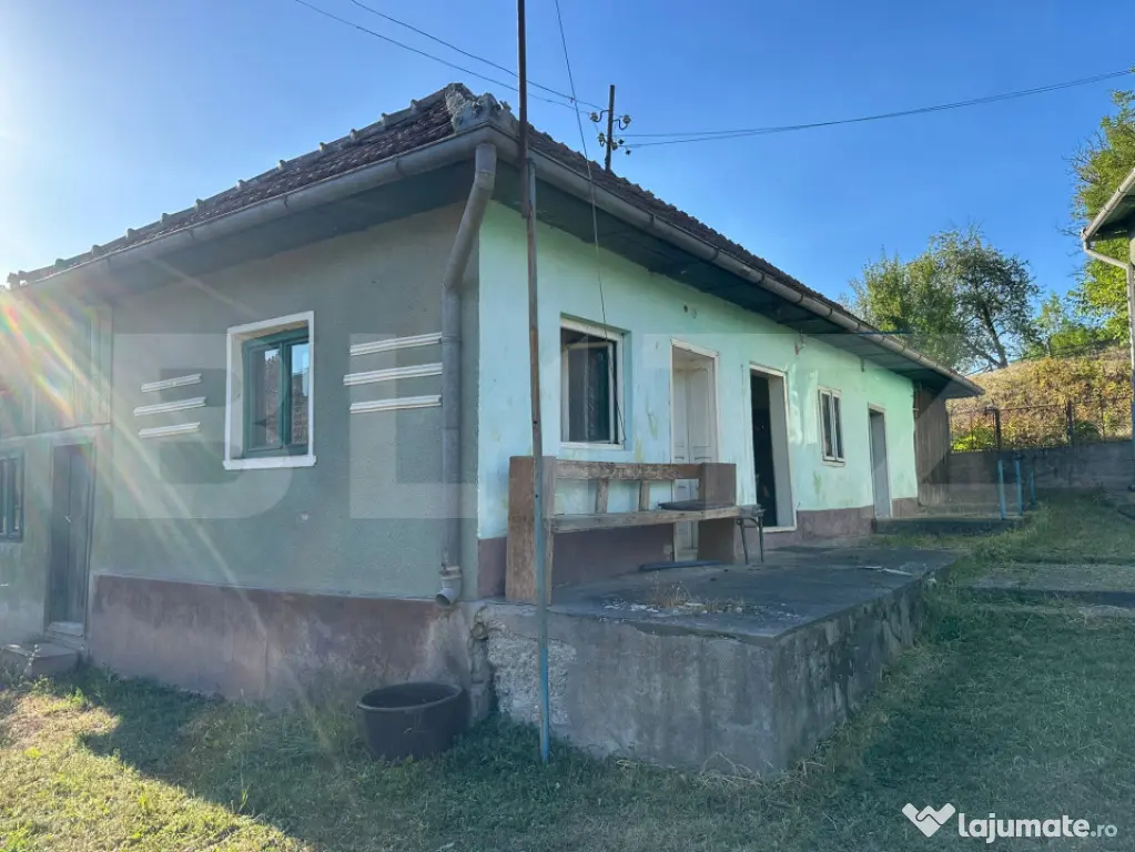 Proprietate cu 7.247 mp teren intravilan și multiple constr - Hartagani (Hunedoara)