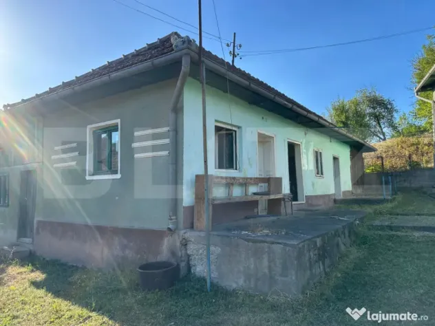 Proprietate cu 7.247 mp teren intravilan și multiple constr - Hartagani (Hunedoara)