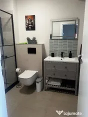 Studio / garsonieră de inchiriat Dacia