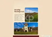 Domeniu viticol 5,5 ha, Conac boieresc | Călinești, Argeș 