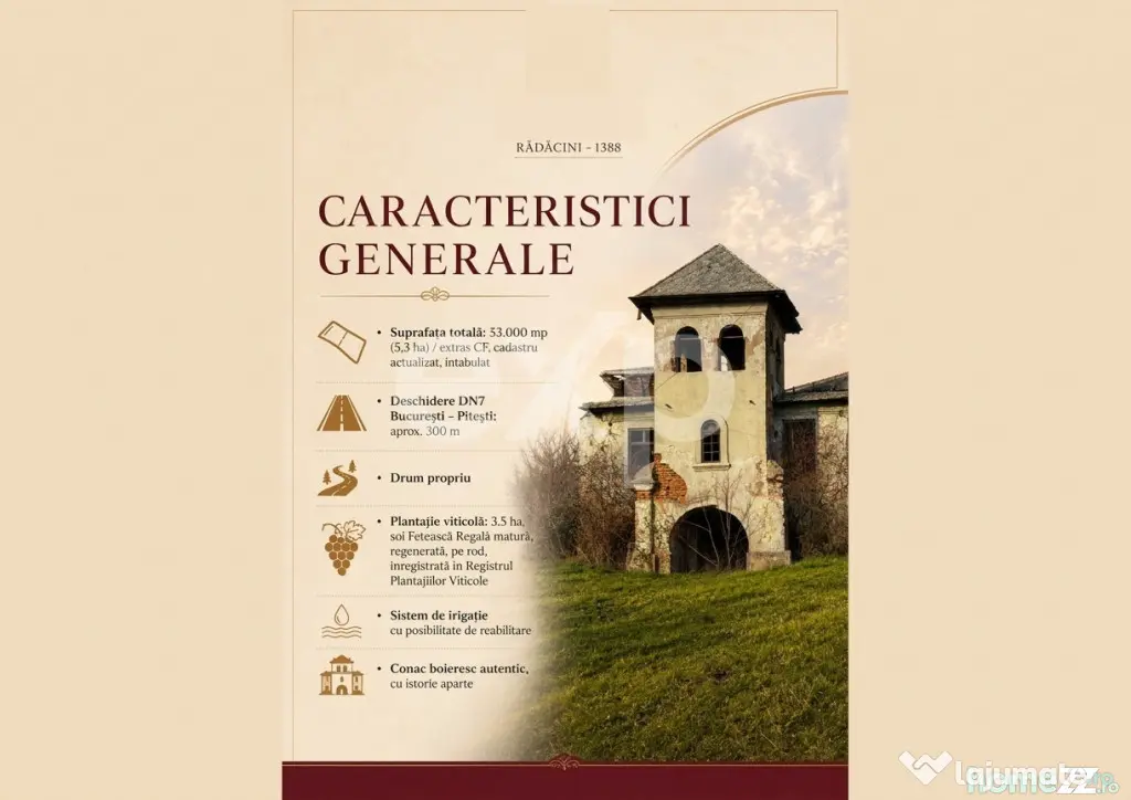 Domeniu viticol 5,5 ha, Conac boieresc | Călinești, Argeș - Vranesti (Arges)