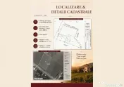 Domeniu viticol 5,5 ha, Conac boieresc | Călinești, Argeș 