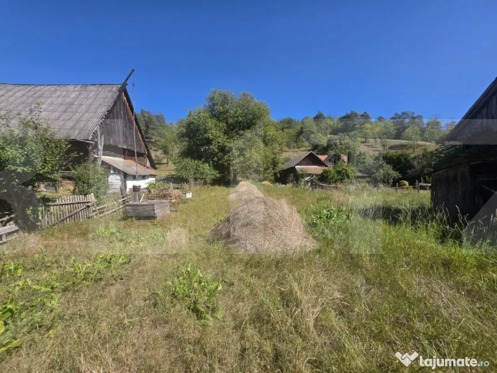 Casa traditionala pe un teren intravilan generos de 3409 mp - Dalnic (Covasna)