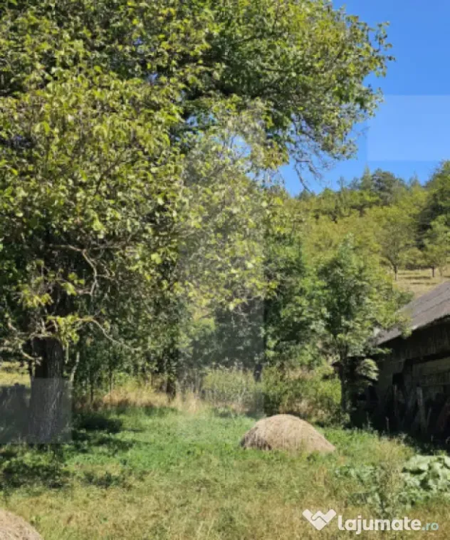 Casa traditionala pe un teren intravilan generos de 3409 mp - Dalnic (Covasna)