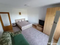 Nerva traian octaian goga spatioasa