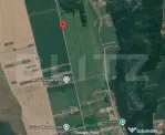 Teren de vanzare, 2426 mp, zona Valea Lupului