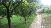 Casa cu etaj zona noua in Botosani