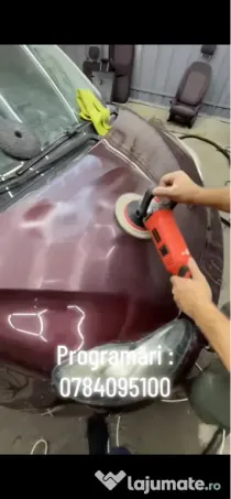 Polish auto profesional