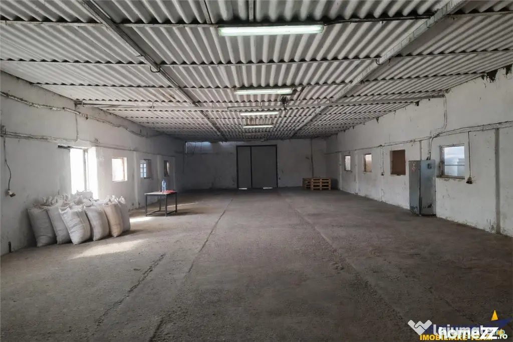 Hala industriala versatila,spatii cazare, platforma betonata - Brasov (Brasov)