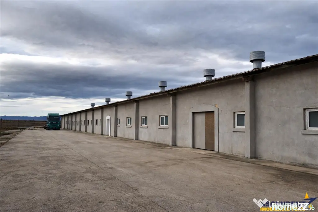 Hala industriala versatila,spatii cazare, platforma betonata - Brasov (Brasov)