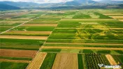 6 parcele cu autorizatie de construire si proiect aprobat: S 