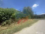 Teren/ casa demolabila Dutulesti 