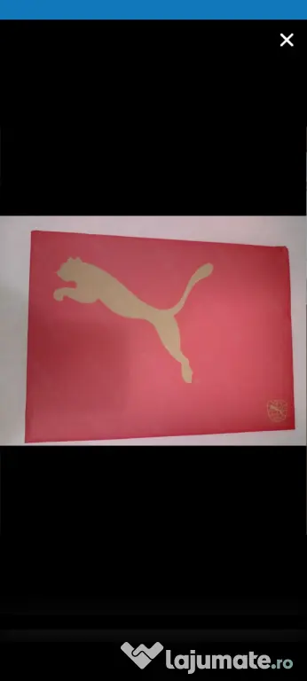 Vand ghete fotbal PUMA