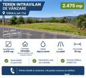Teren intravilan 2.475 mp – Dăbâca, | Asfalt, apă și c 
