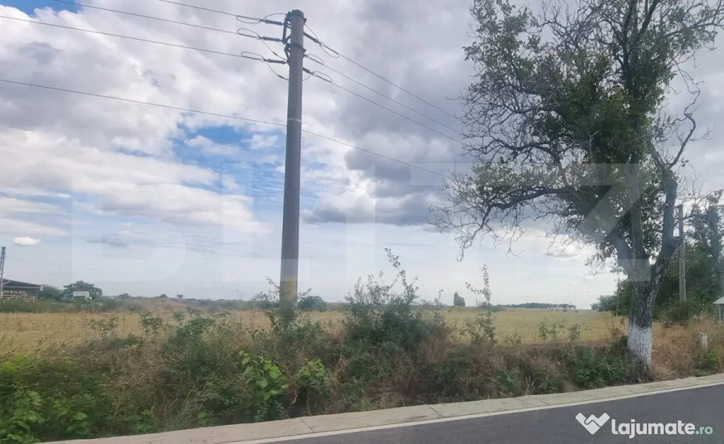 TEREN INTRAVILAN 5.000 MP Zona industriala VADU SĂPAT/MIZIL - Vadu Sapat (Prahova)