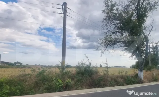 TEREN INTRAVILAN 5.000 MP Zona industriala VADU SĂPAT/MIZIL - Vadu Sapat (Prahova)