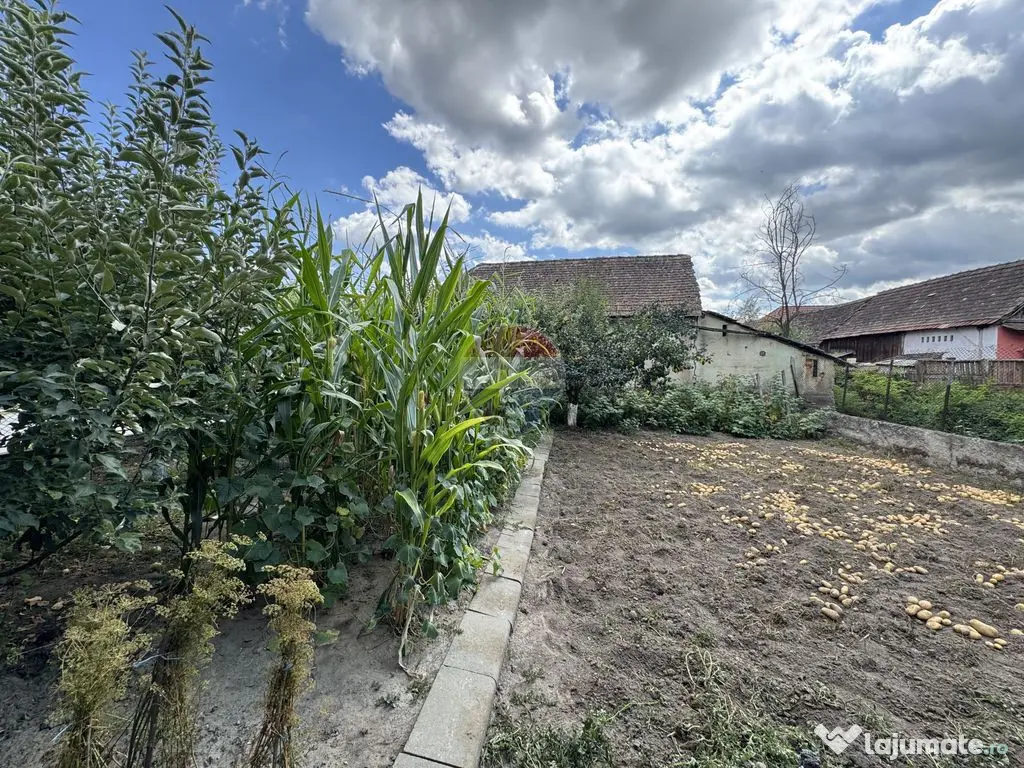Casă cu hală și teren 738 mp – ideală pentru locuit sau business - Smig (Sibiu)