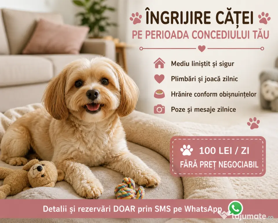 Ingrijire catei la domiciliu