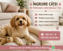 Ingrijire catei la domiciliu