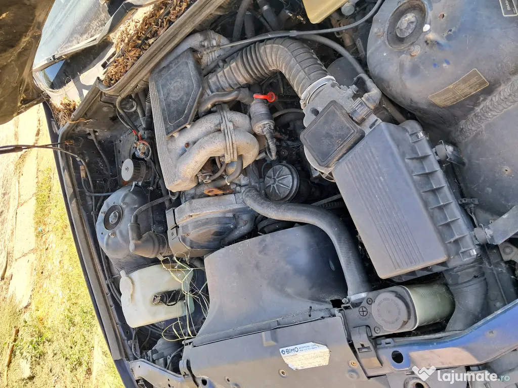 Bmw e36/ Pisicuta