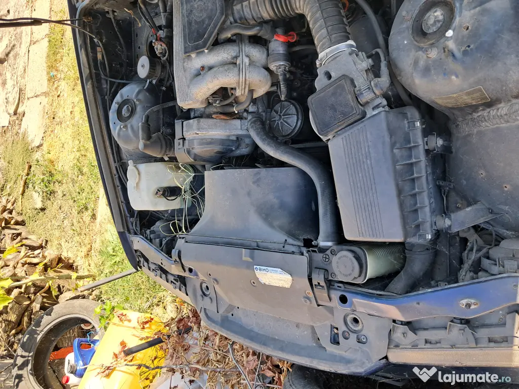 Bmw e36/ Pisicuta