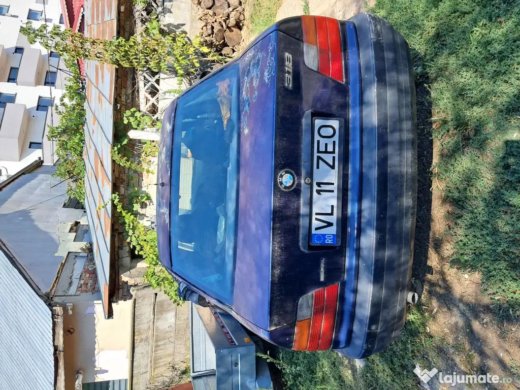 Bmw e36/ Pisicuta