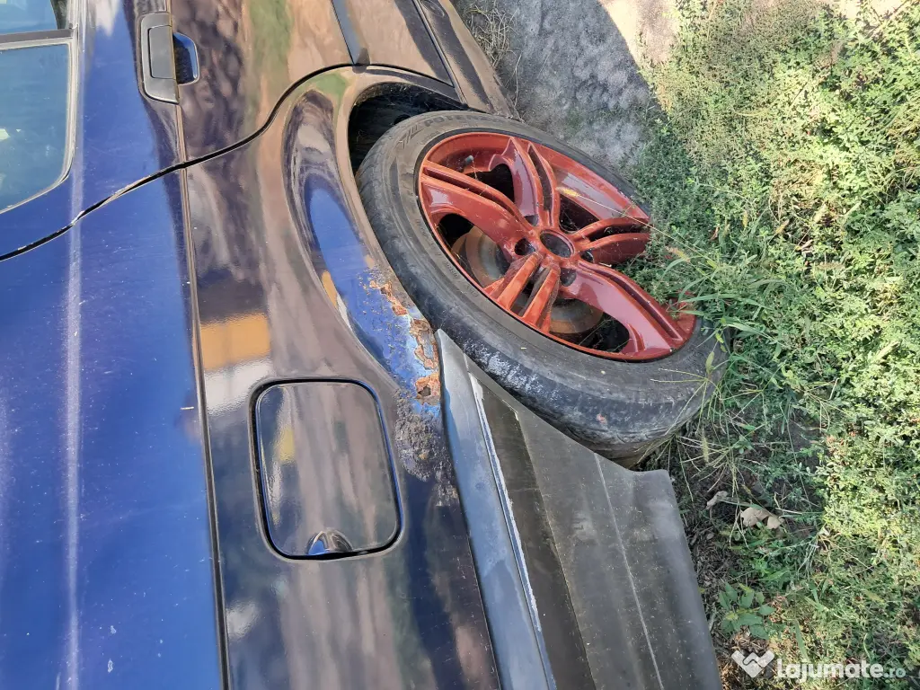Bmw e36/ Pisicuta