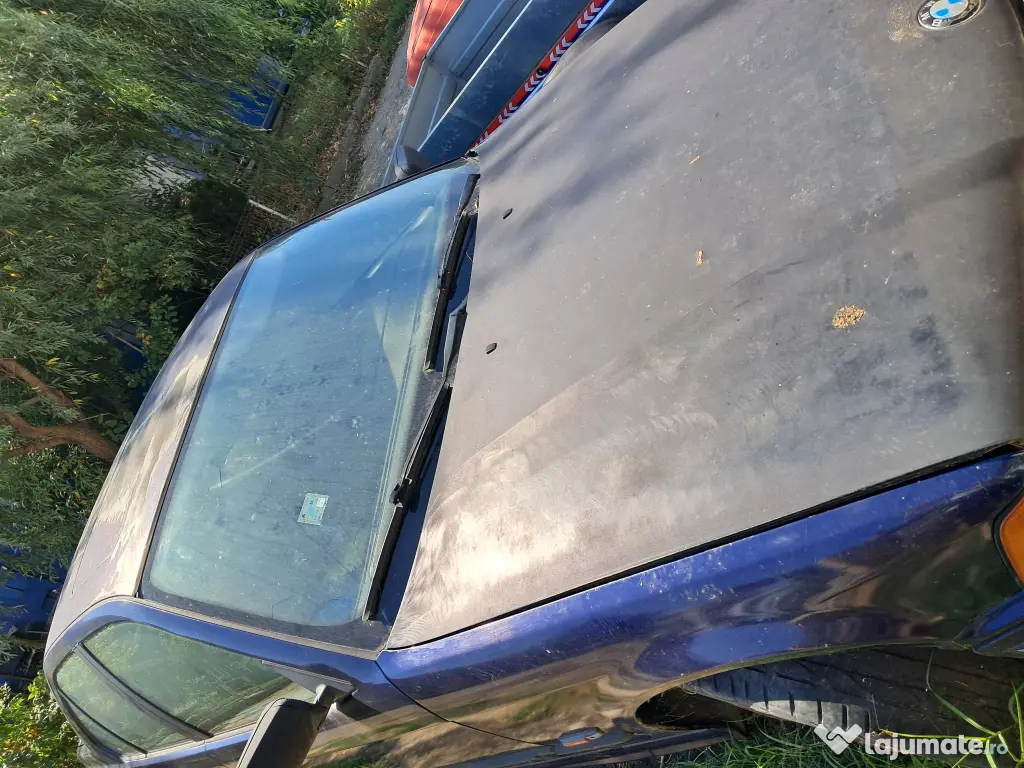 Bmw e36/ Pisicuta