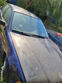 Bmw seria 3 e36/Pisicuta