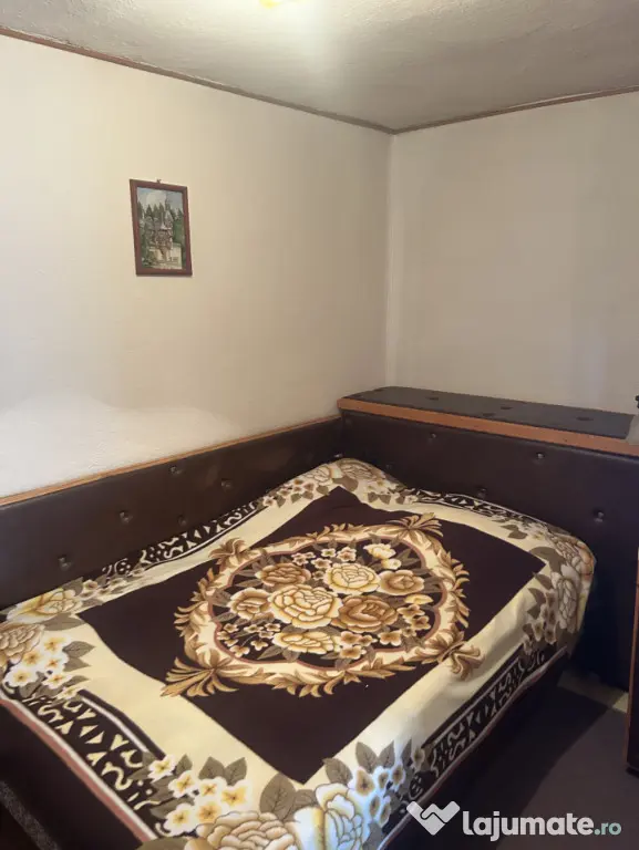Oportunitate: Pensiune turistică acreditată + Vilă indivi - Busteni (Prahova)