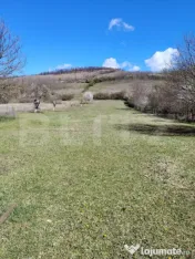 Casă cu potențial de pensiune | 280 mp | Teren 3.500 mp 