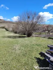 Casă cu potențial de pensiune | 280 mp | Teren 3.500 mp 