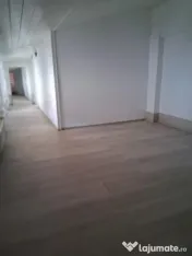 Metrou Tineretului-Metrou Timpuri Noi 9 camere-curte 